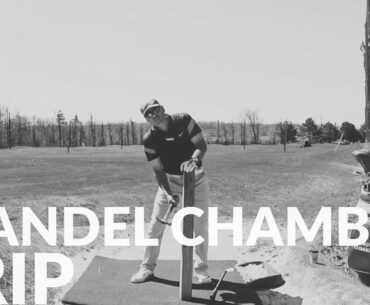 BRANDEL CHAMBLEE GRIP - Shawn Clement - Wisdom in Golf