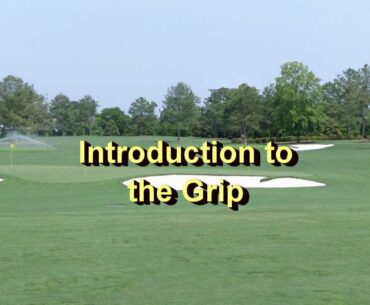 Wadden Golf - Grip Series (Part 1) Introduction