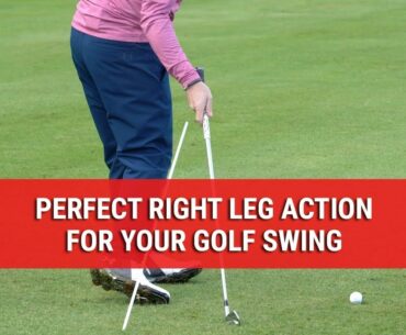 Perfect Right Leg Action For Your Golf Swing - Golf Swing Tips - DWG