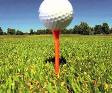 Zero Friction Golf Tees: Performance Golf Tees