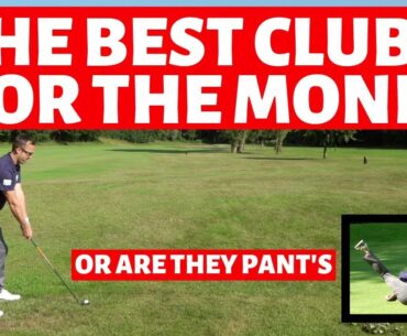 THE BEST VALUE GOLF CLUBS  I HAVE EVER  SEEN !  GOLFMATES