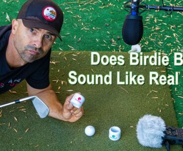 The Truth About Birdie Ball - Is This Golf Ball Training Aid Really Worth It?