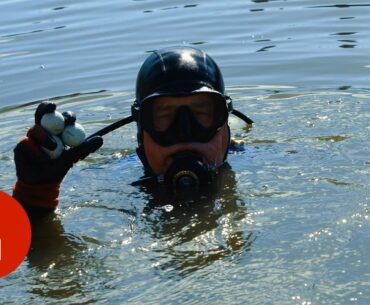 Diving For Golf Balls in America’s Most Famous Water Hazard