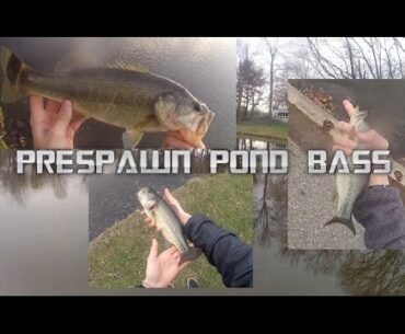 Coldwater Bass Fishing  - Prespawn Muddy Water Tactics