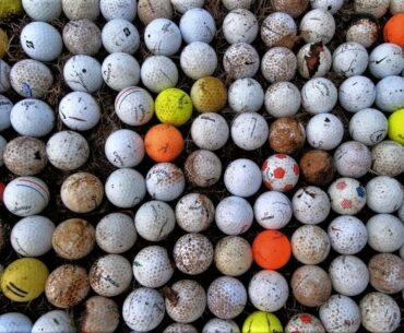 Creek Treasures: I Found Over 200 Golf Balls & One Duck