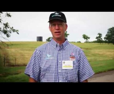 Show Cattle Feeding Strategies | Purina Animal Nutrition