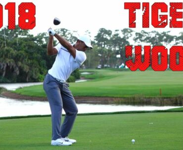 2018 TIGER WOODS 120fps DTL SLOW MOTION DRIVER GOLF SWING 1080 HD