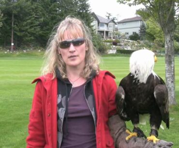 Eddie the Eagle rules the roost at Fairwinds Golf Course