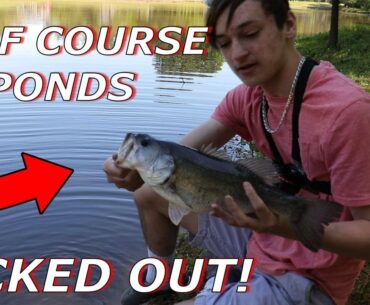 WE GOT KICKED OUT... SPRING BASS FISHING GOLF COURSE PONDS