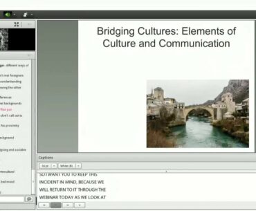 AE Webinar 2.4 - Cross-Cultural Communication Strategies in the English Language Cl...