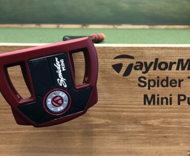 TAYLORMADE SPIDER TOUR MINI PUTTER