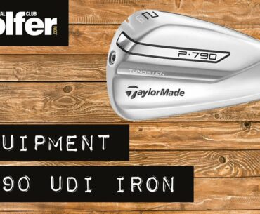 Can a Mid Handicapper Hit a 2-iron? TaylorMade P790 UDI Review