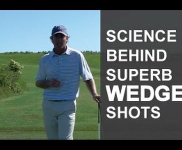 The Science Behind Superb Wedges