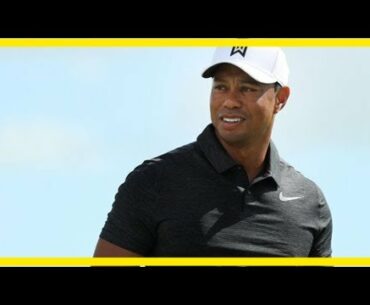 Golf: woods in hunt as hoffman romps