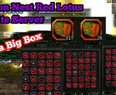 Buka Box Callaway Di Dragon Nest Red Lotus Musume Indonesia