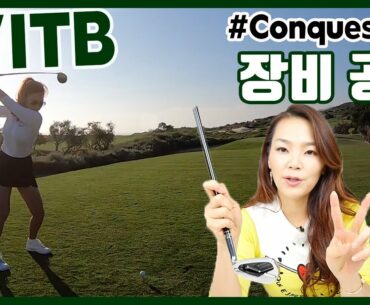 WITB 장비 공개 Driver / Woods / Irons / Wedges [Majesty Conquest BK 퀜퀘스트 블랙] | 명품스윙 에이미 조