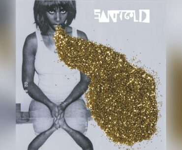 Santigold - Shove It (Feat. Spank Rock) (Official Audio)