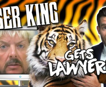 Real Lawyer Reacts to Tiger King // LegalEagle