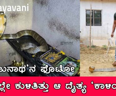 ‘ಮಂಜುನಾಥ ಸ್ವಾಮಿ'ಯ ಫೊಟೋ ಪಕ್ಕದಲ್ಲೇ ಕುಳಿತಿತ್ತು ಆ ದೈತ್ಯ ‘ಕಾಳಿಂಗ’!! |King cobra rescue| Udayavani