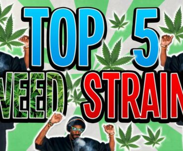 My Top 5 Best Weed Strains of 2020