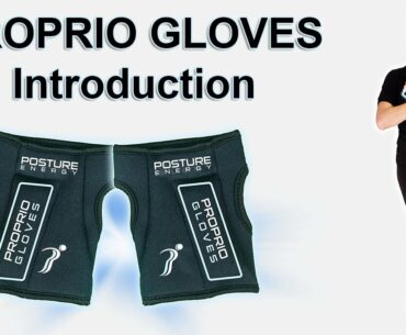 Proprio Gloves - Introduction - Posture Energy