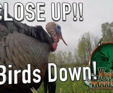 Ohio Turkey Hunting | Three Birds Down! | Awesome Close up