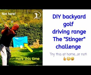 DIY backyard golf driving. The "Stinger" Challenge. Apparently 9 iron was not the right club🤷‍♂️🤦‍♂️