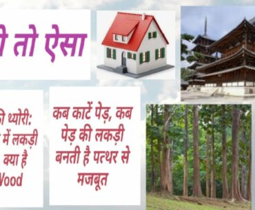 घर हो तो ऐसा:Secret of Moon Wood in Home Construction,कब काटें पेड़, कैसे लकड़ी बनती है पत्थर से मजबूत