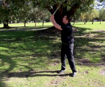 Genesis Golf Link Cup Rule of the Week: Area of Intended Swing