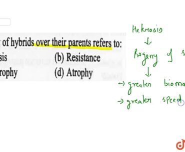 Superiority of hybrids over their present refers to: