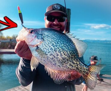 Catching Big Slab Crappie From My Dock!