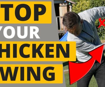 How To Stop Your Chicken Wing!