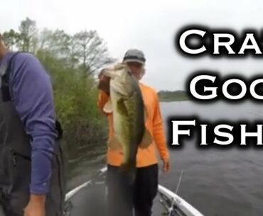 Sam Rayburn Bass Fishing: Crazy Good Bite!!!