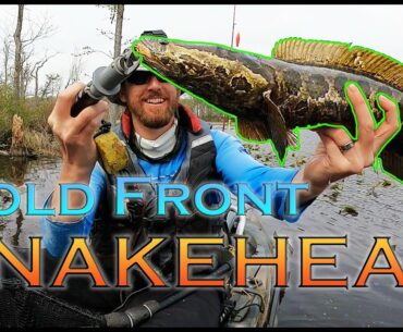 Cold Front Maryland SNAKEHEAD: Tips, Tactics, and Techniques Ft. 30' inch Snakehead!