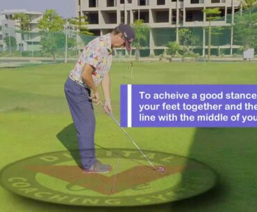 Golf setup position-address position-Vietnamese translation.