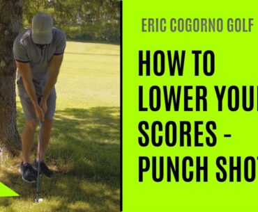 GOLF: How To Lower Your Scores - Punch Shot