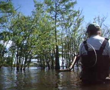 DJ3's Wade fishing Lake Sam Rayburn for Crappie, Bass and More. Tactics and Tips Galore !!!