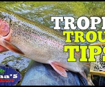 HOW TO CATCH TROPHY RIVER TROUT| TIP, STRATEGIES AND TECHNIQUES| 4K