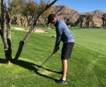 Palm Springs Golf, fading in a dart from 195yds and under a tree