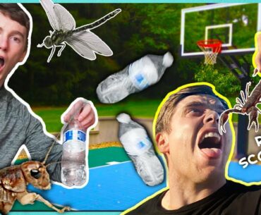 MISS The BOTTLE FLIP, Eat DISGUSTING BUGS! Ft. That’s Amazing