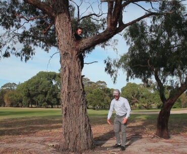 Golf Rules - Ball Suspended Up in Tree, Unplayable Option Available www.golfisanattitude.com