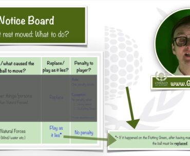 Oswald's Golf Rules School 25/25: Ball at rest moved (PhD4)