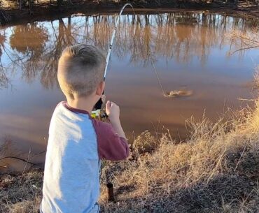 Pond Fishing for Catfish