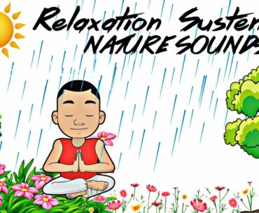 Well..This Just Happened! | Peaceful Sounds Of Nature | Relaxation & Sustenance | Rain & Hail
