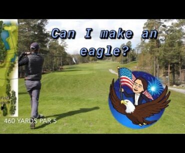 CAN I MAKE AN EAGLE? How many mulligans do i need? #golf