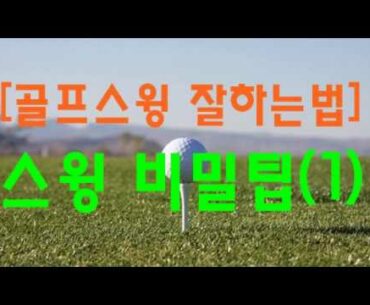 [골프스윙 잘하는법] 잊어버린 샷을 찾아서, 연습 일기장 공개(1)/ I relese my golf practice diary/PaulSin