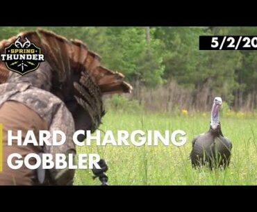 Dominant Gobbler at 5 steps | Fanning in Big Turkeys | Realtree Spring Thunder