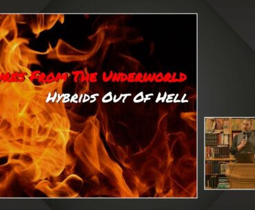 Creatures From The Underworld; Hybrids Out Of Hell