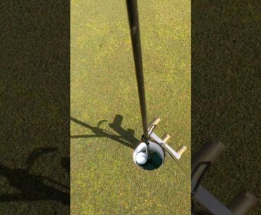 SAFE GOLF    lift ball from hole using putter