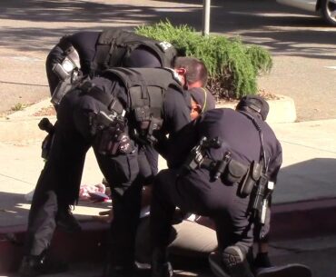 Laguna Beach Police Arrest African-American Walking Near Freedom Protest